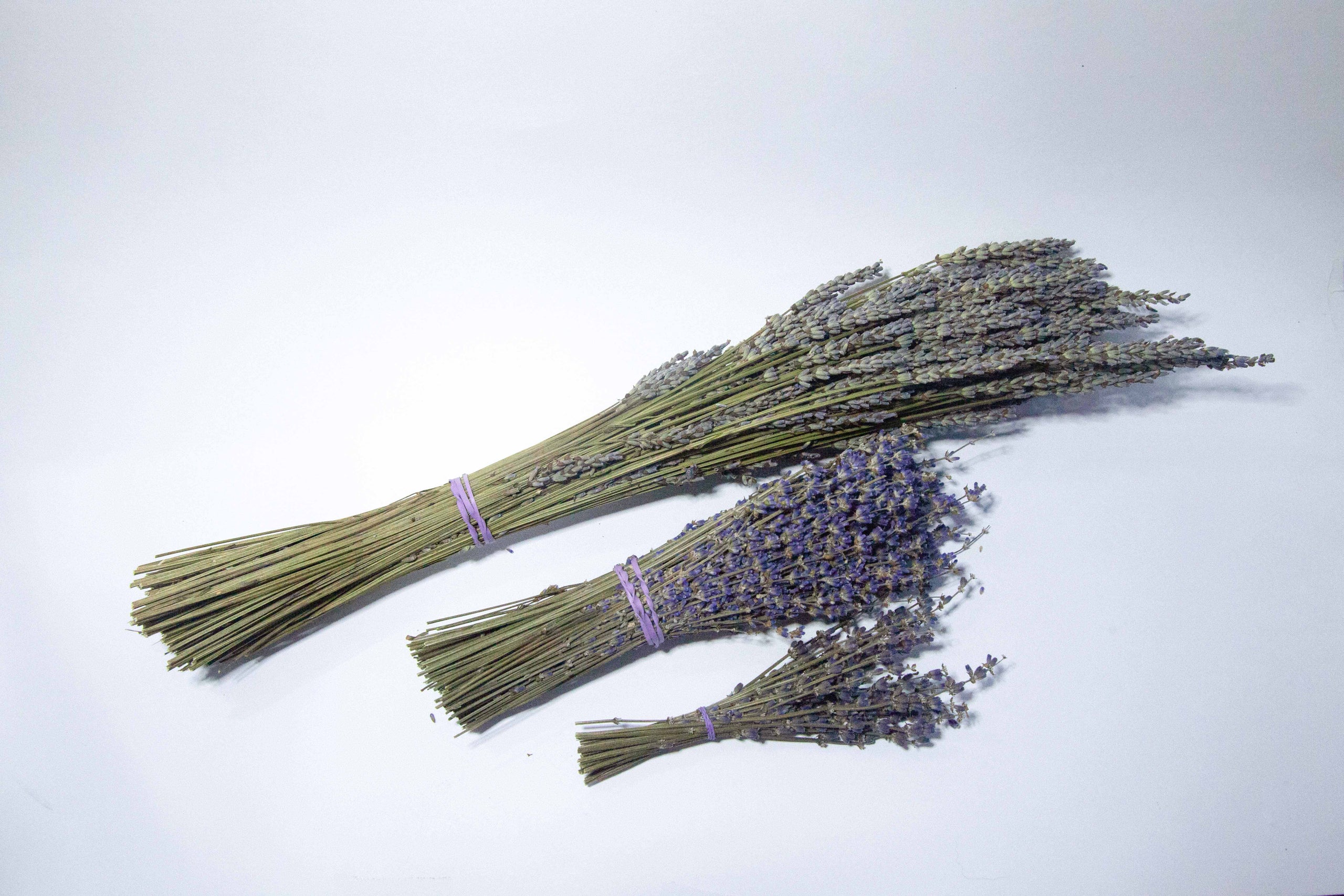 Dried Lavender Bundle – Long Row Lavender